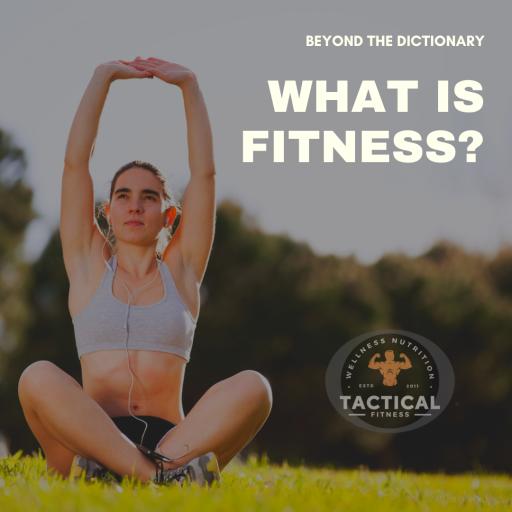 What is Fitness?