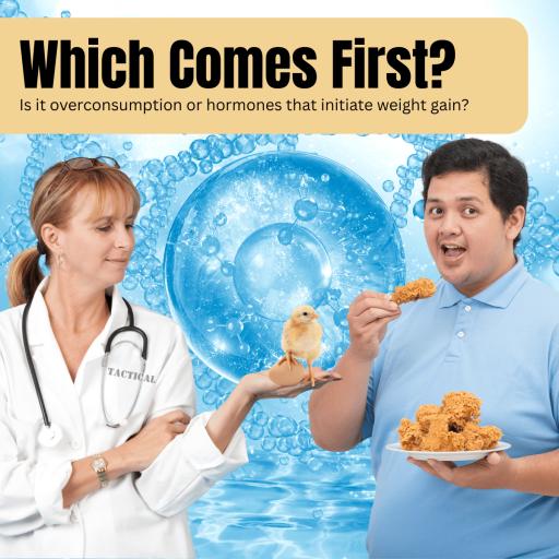 Calorie Surplus Drives Fat Gain