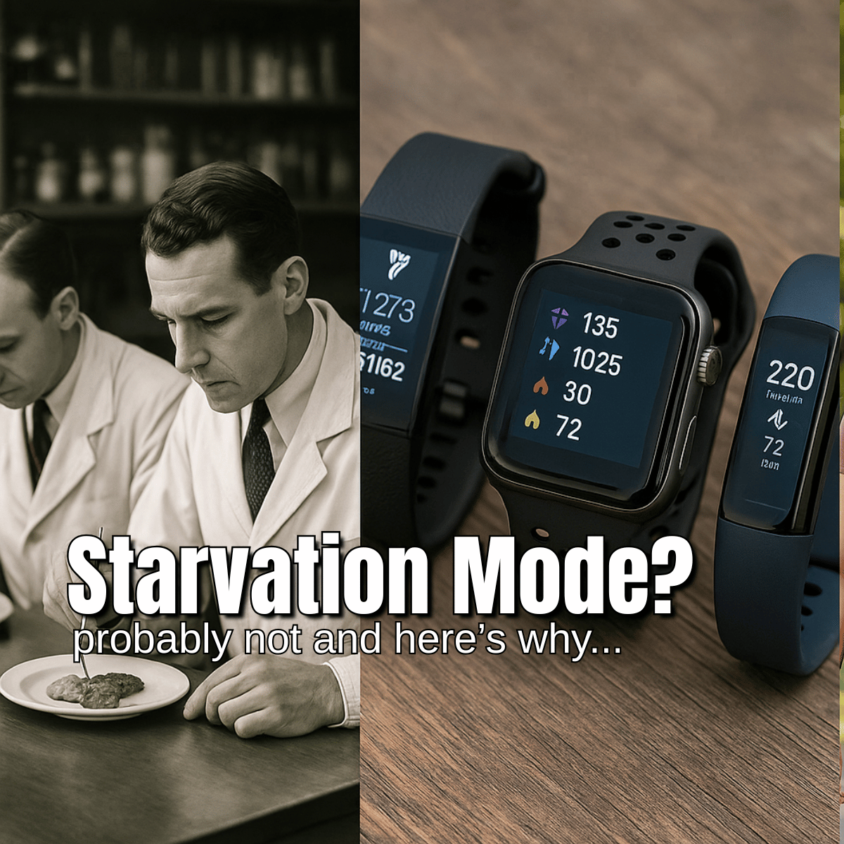Starvation Mode